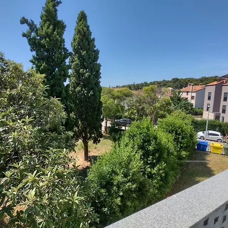 Modern Ana Appartement