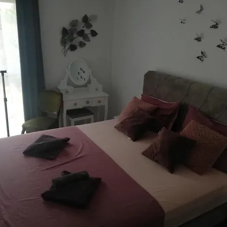 Modern Ana Apartman *